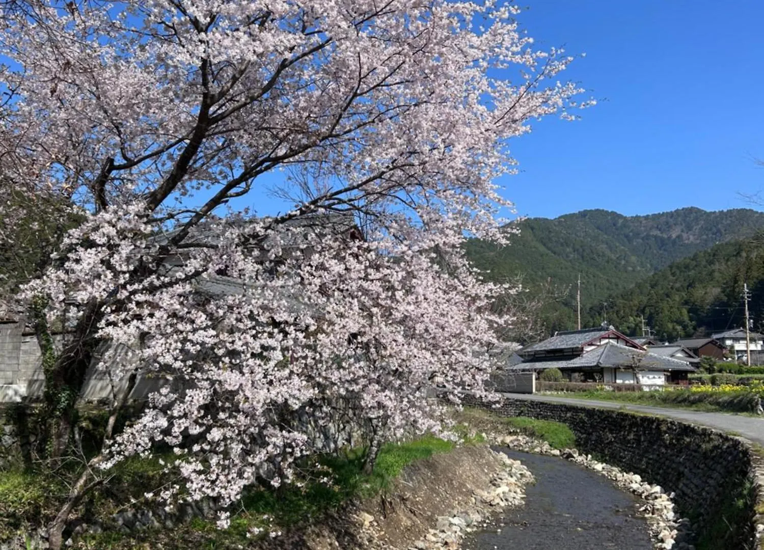 Ryoso Chatani Kyoto