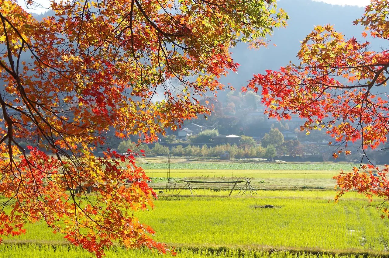 료소 차타니 호텔 교토