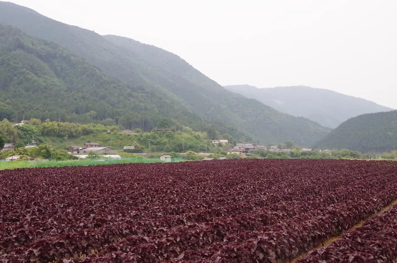 료소 차타니 호텔 교토 2*,  일본