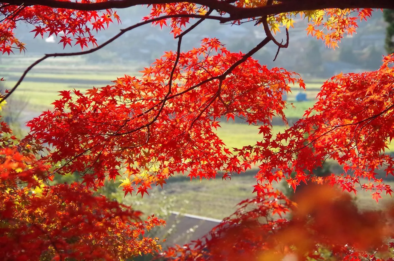 Ryoso Chatani Kyoto